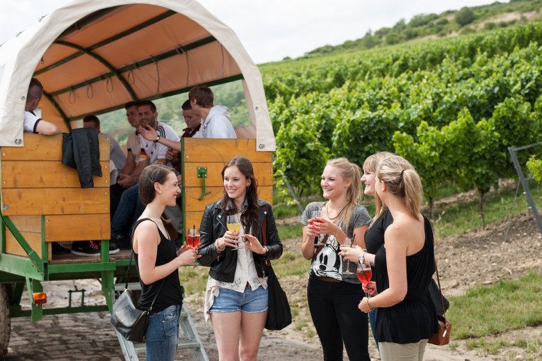 Wein erleben im Wißberg - Weinfest ausgezeichnet